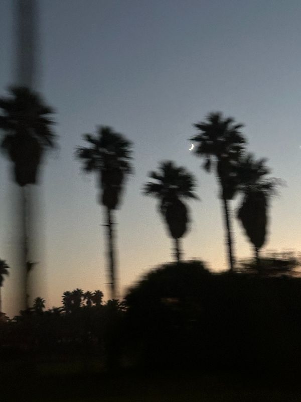 Waves of Peace w/ Jaxx TMS