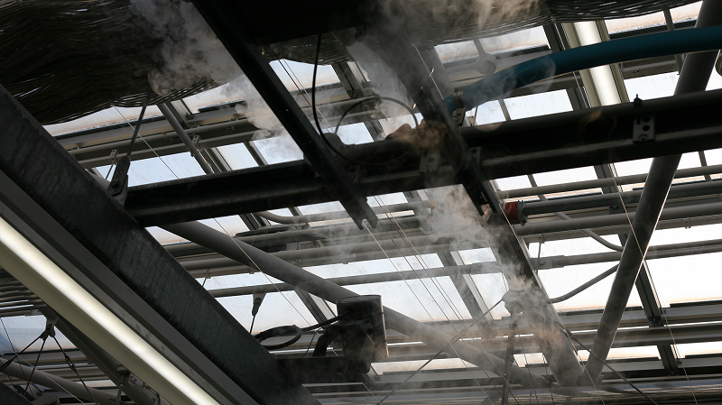 The Early Bird Show w/ PAM