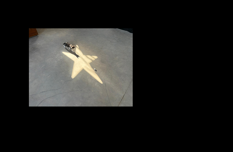 THE WONDER CABINET w/ Ramsy Kattan, Joseph Schiano Di Lombo, Alabaster DePlume and Jude 