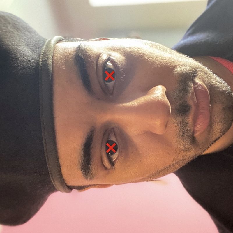 The Lunacy of Flowers w/ Dave ID