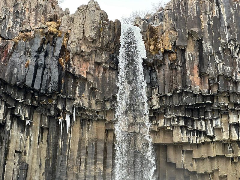 If Music Presents You Need This w/ Jean-Claude