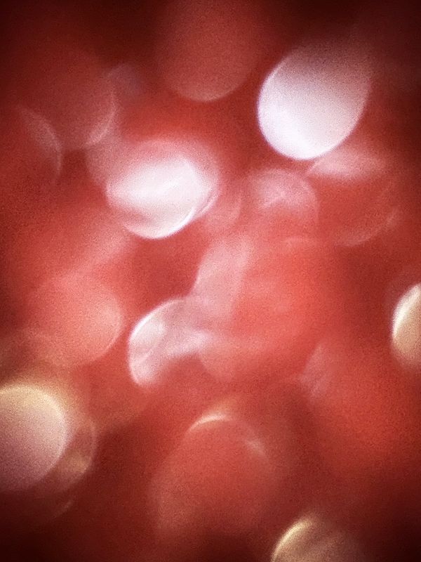 Cold Pizza w/ Stud1nt