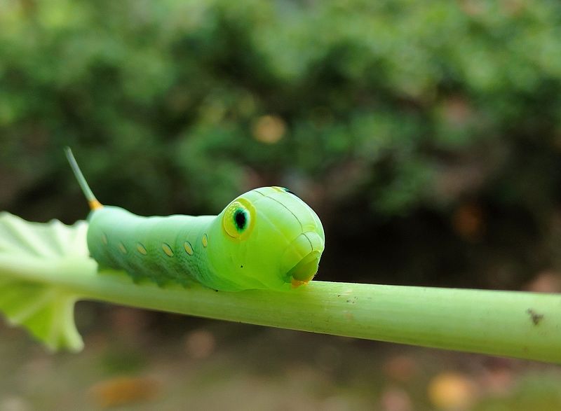 Getting Warmer w/ Jen Monroe