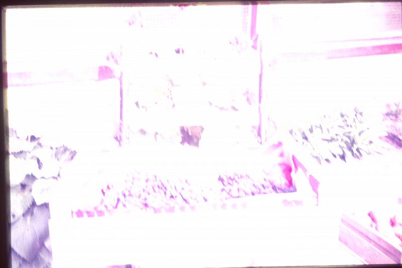 Sonic Afterlife w/ Conduct Disorder