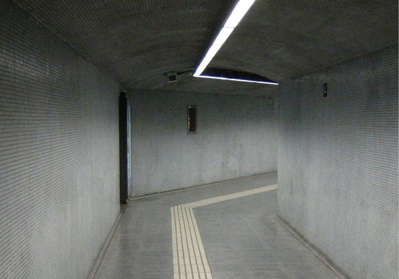 S K Y A P N E A w/ One For Ghost