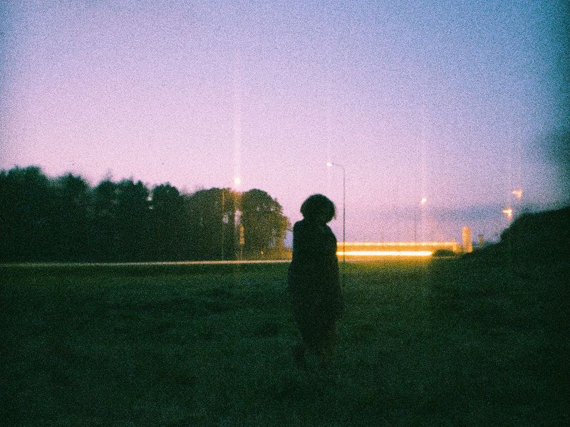 Fine w/  Koilwood - goodbye tawny mix