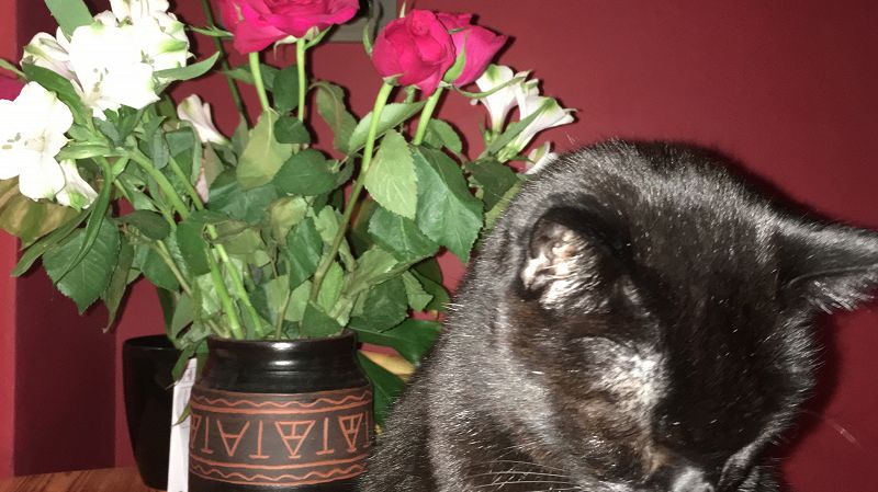 Music 4 Lovers w/ Jabu & Andy Payback