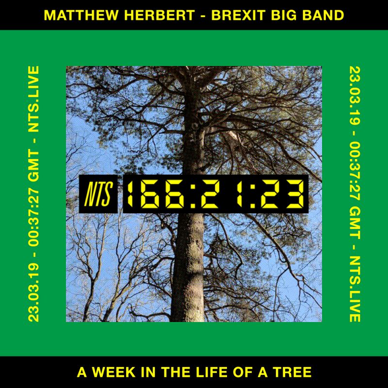 A Week In The Life Of A Tree 21 Mar 2019 Incoming