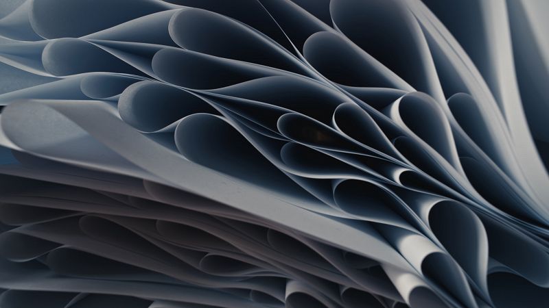 Post hoc w/ Dane Mitchell & Rachel Shearer