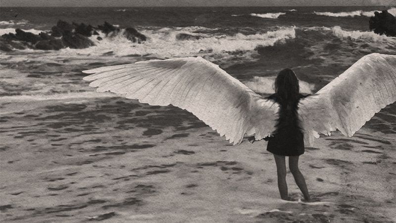 A PLACE BOTH WONDERFUL AND STRANGE W/ M_D2DRM