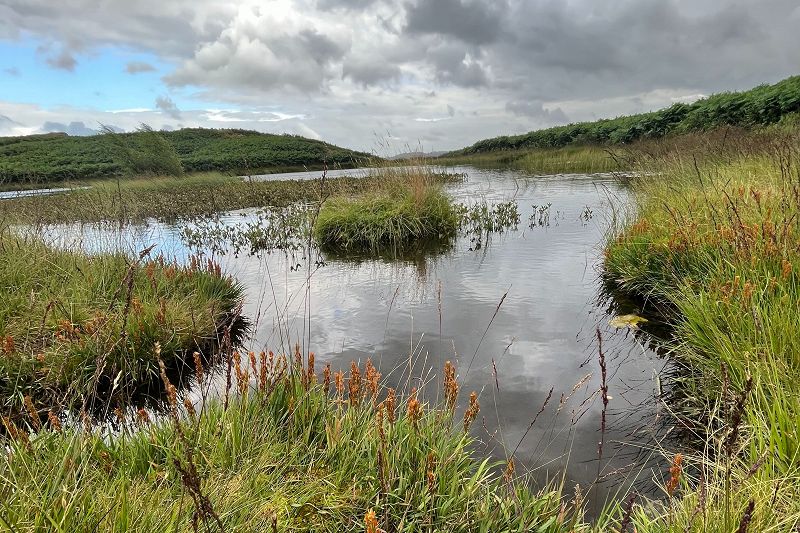 Happy Death w/ Ed Horrox