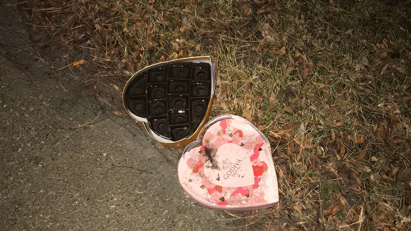 A Month of Sundays w/ Yumi