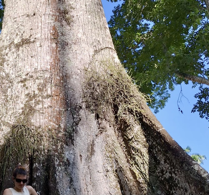 Luke Mele w/ Ramzilla