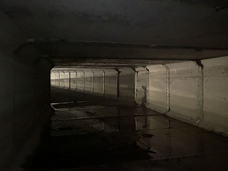 MACHINES OF LOVING GRACE W/ Cult Friends