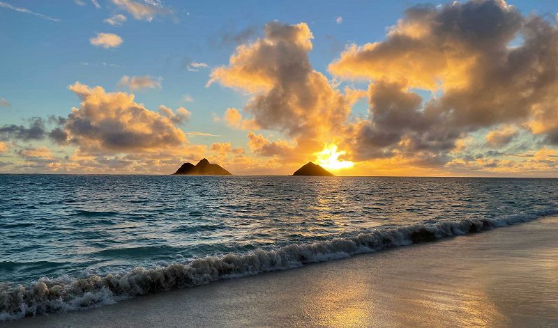 The Head Zone w/ Ripley Johnson