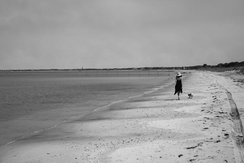 Minimal Wave w/ Veronica Vasicka