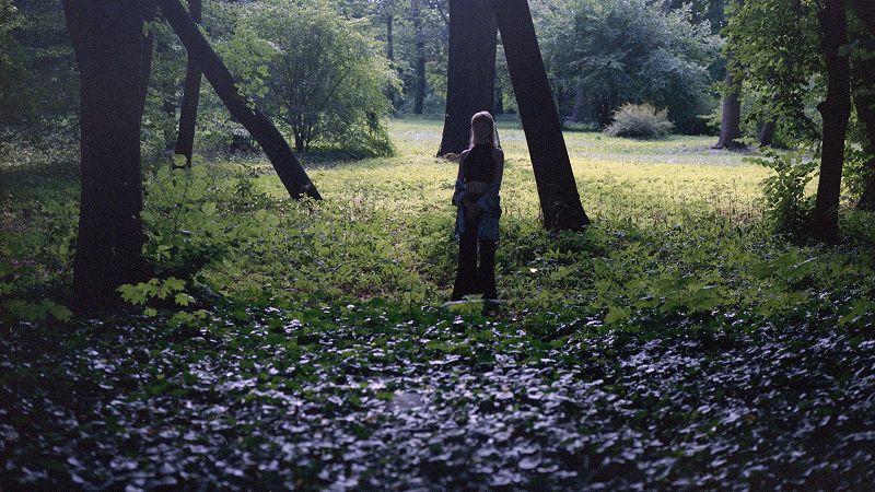 Dream Picnic w/ Schwarzman