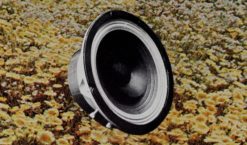 Machines of Loving Grace w/ Midwife