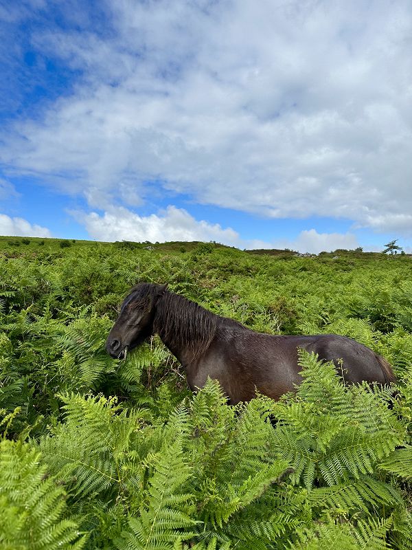 CAN YOU FEEL THE SUN W/ CALL SUPER & PARRIS