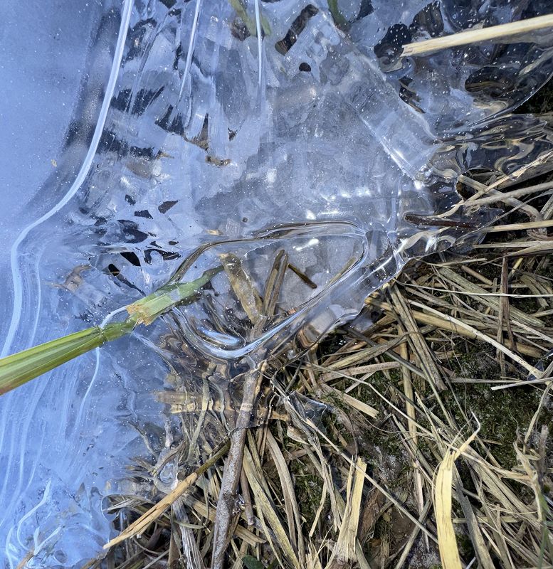 Pacing The Platform w/ upsammy