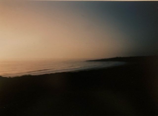 Dolphins and dune walks at dusk w/ Ciao Ciao