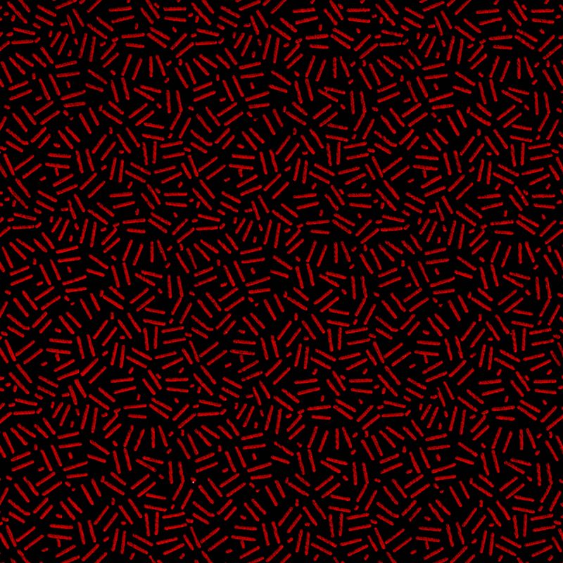 Machines of Loving Grace w/ Midwife