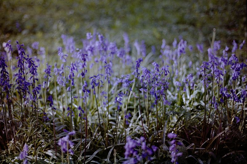 Open Hand Real Flames - Juke, Footwork & 160 from Japan