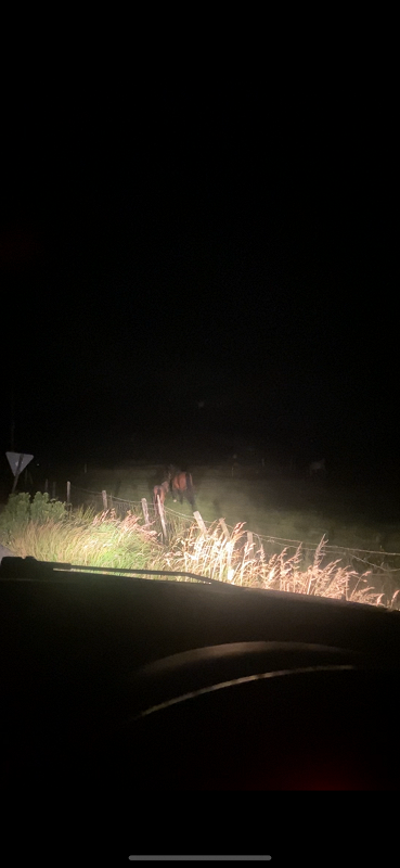 The Early Bird Show w/ Maria Somerville