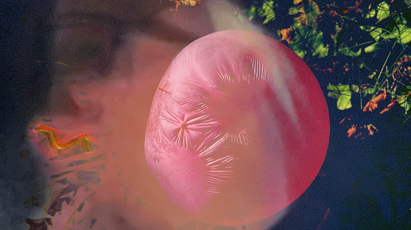 Mutualism w/ In Atoms