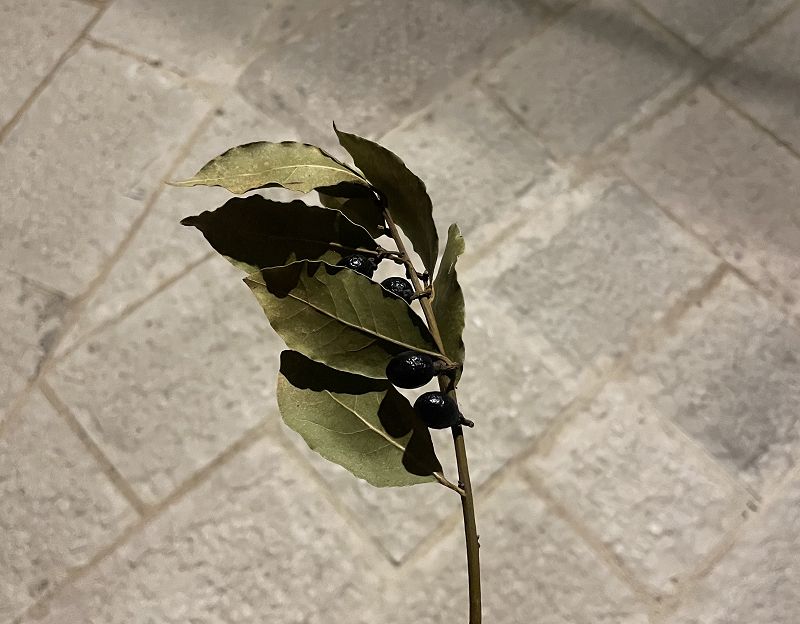 Studying Sundials w/ Daydream