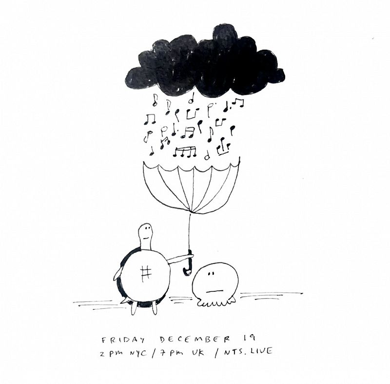 James McNew (YO LA TENGO)