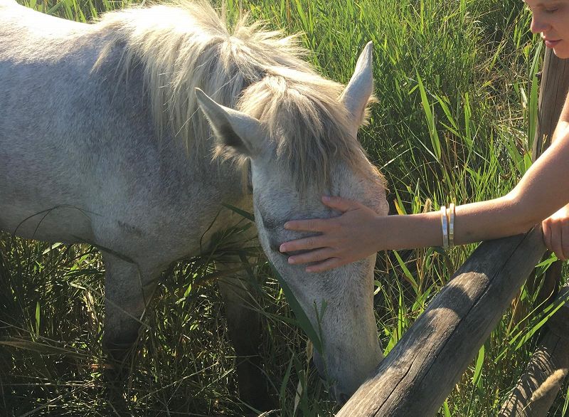 The Early Bird Show w/ BRADEN WELLS