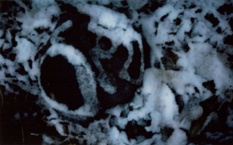 A Month of Sundays w/ Bill Spencer