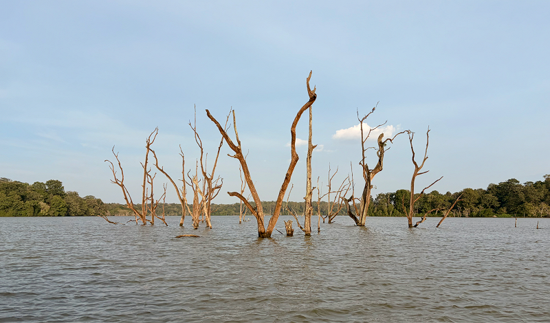 Sacred Pools w/ FASO