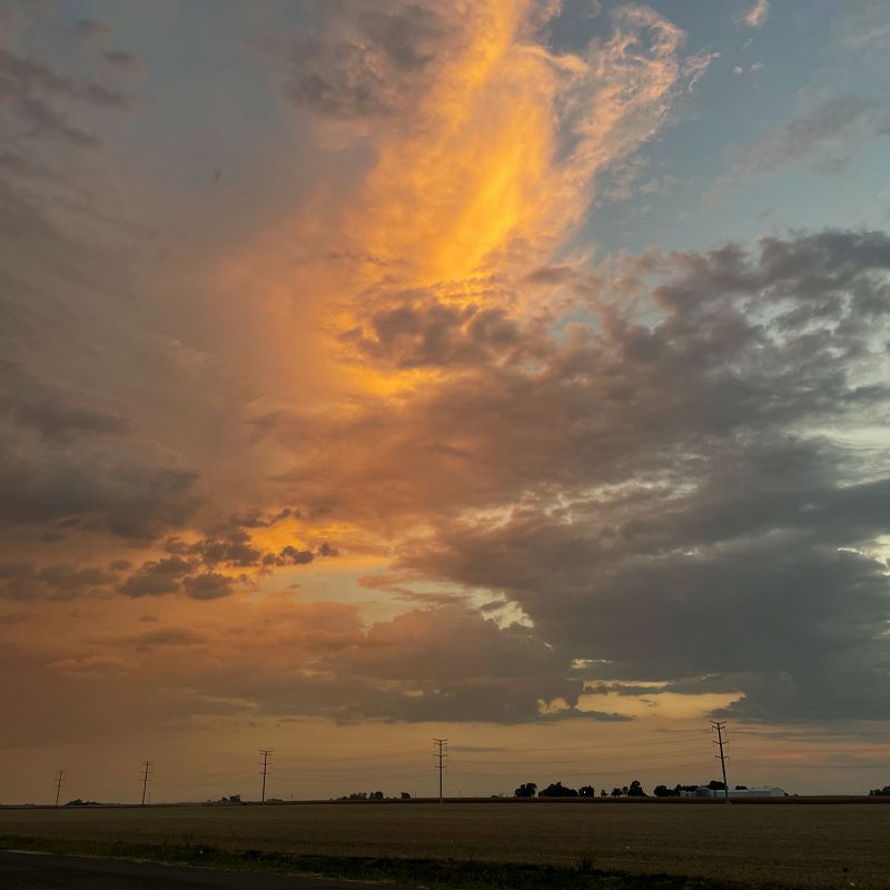 NAG CHAMPA PACK W/ ARIAM