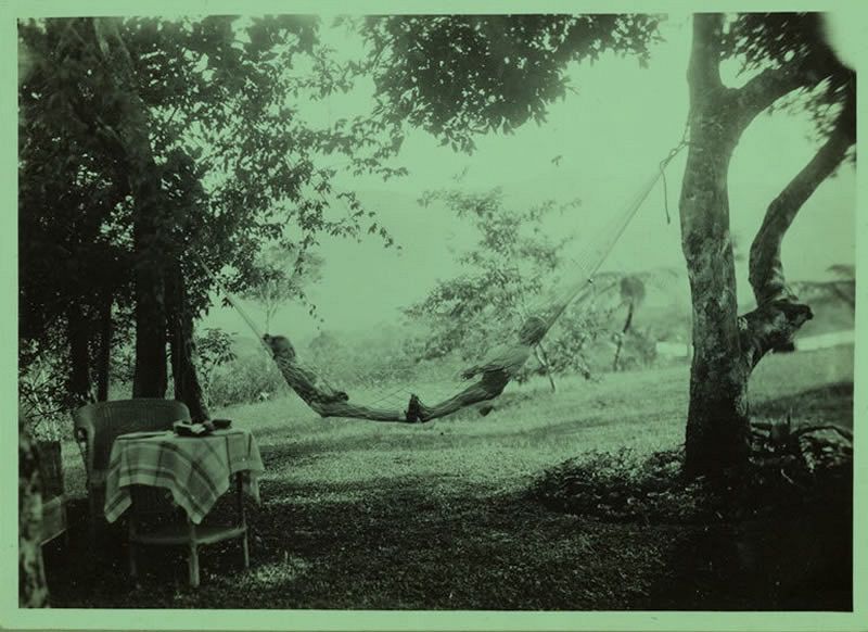 Carlos René: Primavera en la hamaca