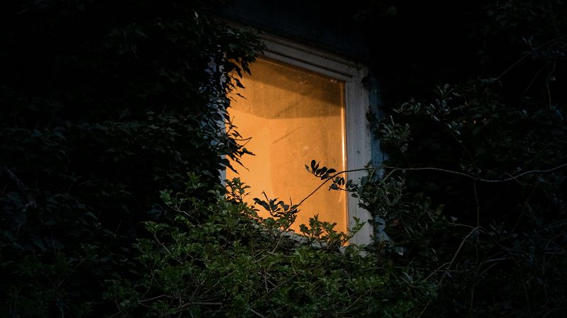 Home Frequencies w/ CJ Morris