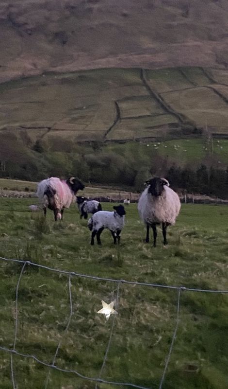 The Early Bird Show w/ Maria Somerville