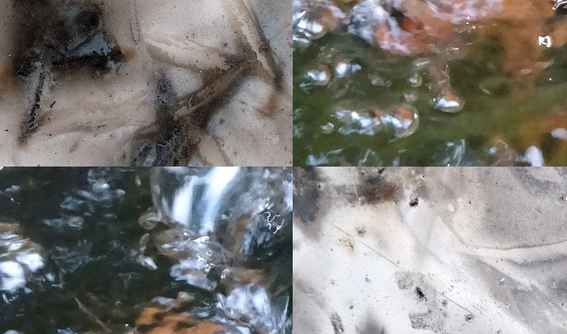 SPA w/ Belia Winnewisser & Friday Dunard