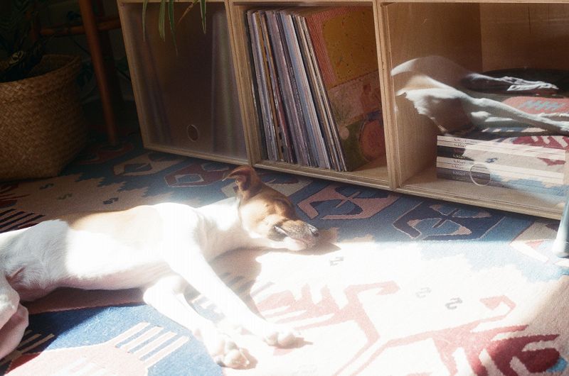 Pina Dreams of Brazil w/ Rômulo Moraes