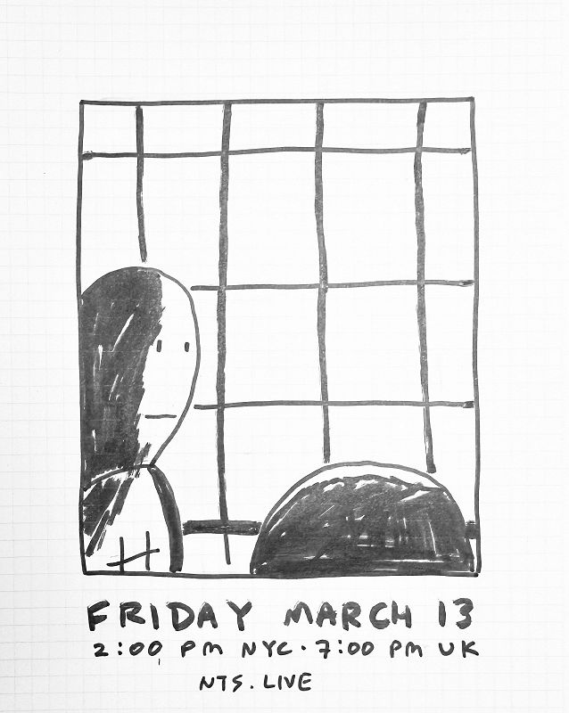 James McNew (YO LA TENGO)