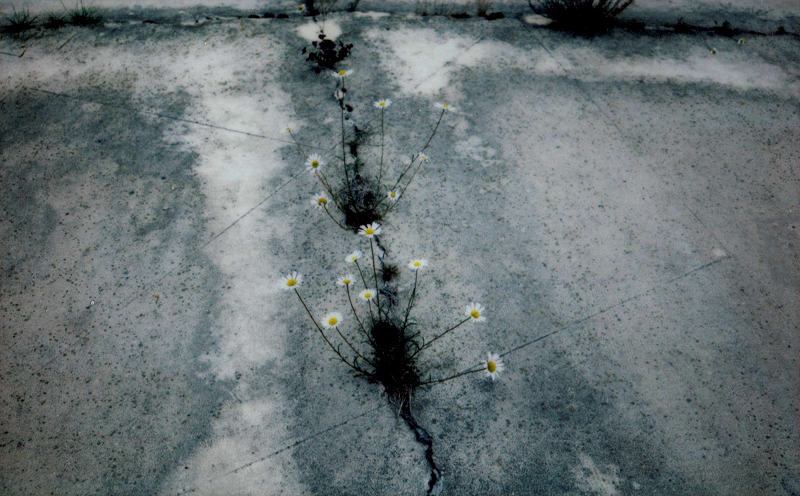 A Month of Sundays w/ Bill Spencer - Stoner Loners XI