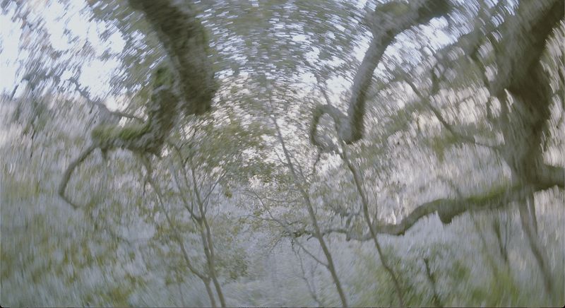 As I Was Moving Ahead - A Quiet Place