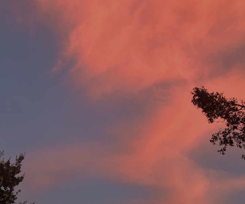 Astral Garden w/ Nailah Hunter