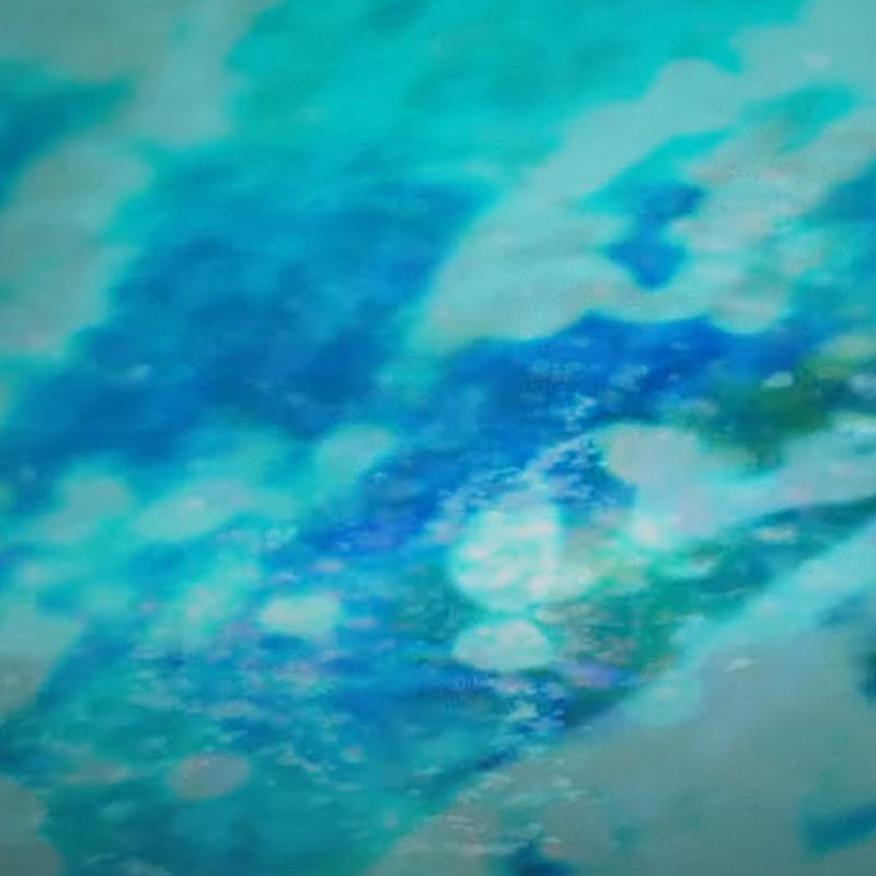 Pender Street Steppers w/ Oro Azul