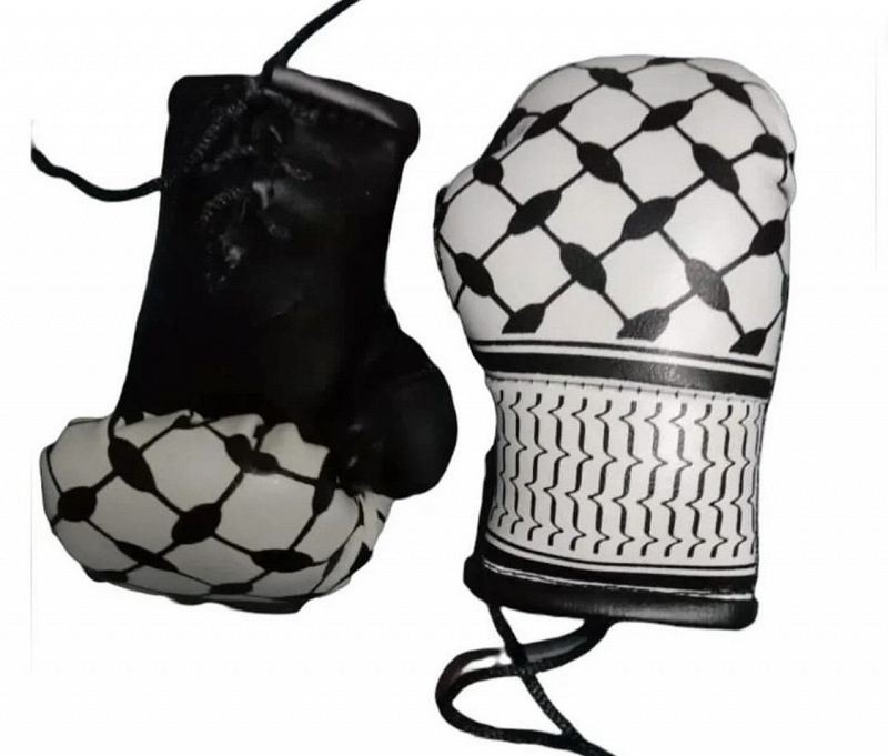 Aisha Mirza: The Day After Tomorrow - Sounds Of Resistance