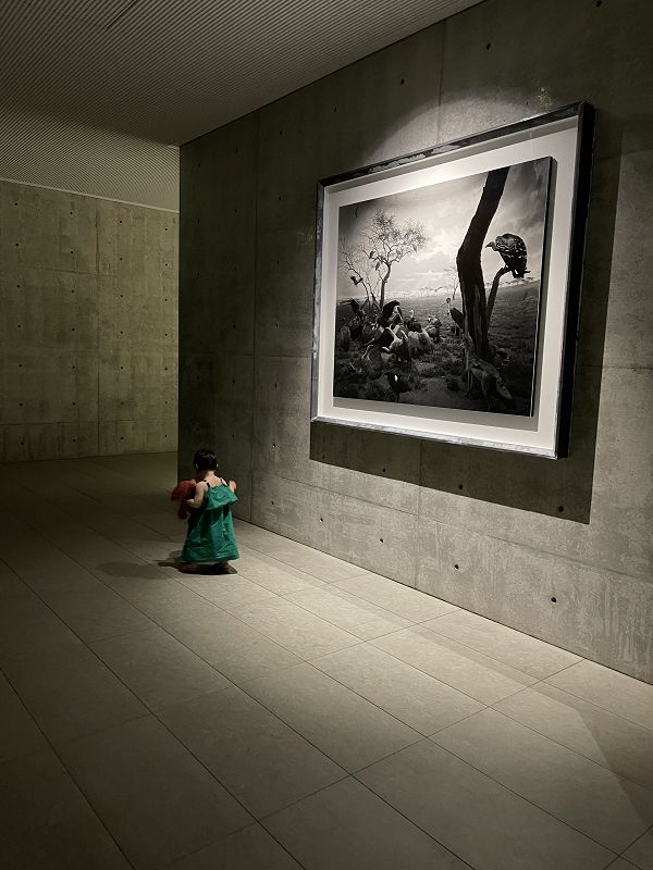 Sacred Pools w/ Toshiki Ohta