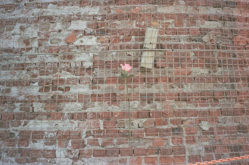 Indelible Pulse W/ Ana Liebert