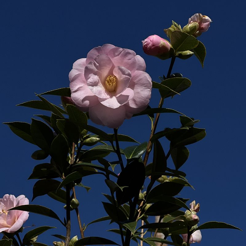 A Colourful Storm - Mysterious Skin