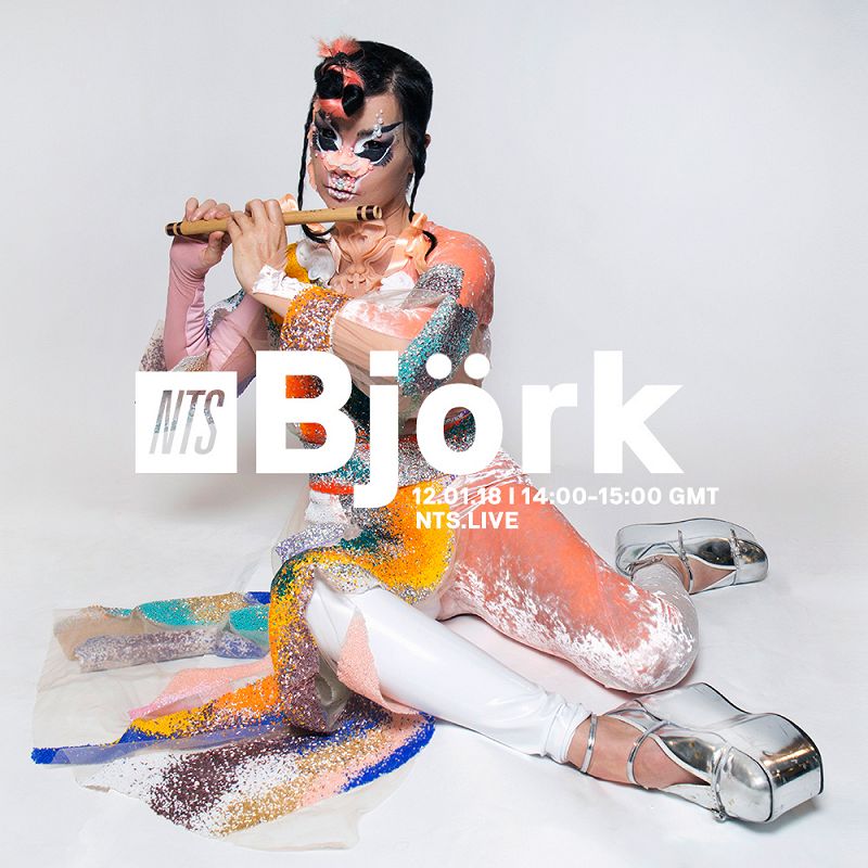 Björk 12 Jan 2018 Incoming